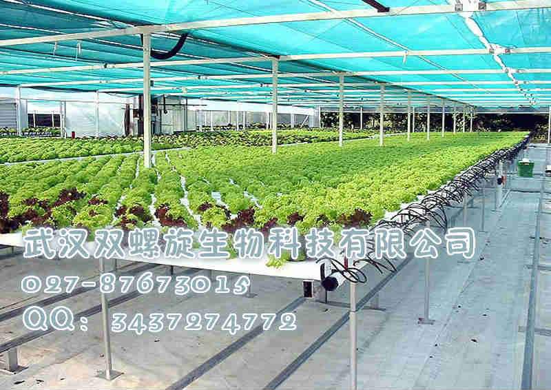 小型植物工厂新风尚 箱式气雾培，打造家庭与商业的绿色供应