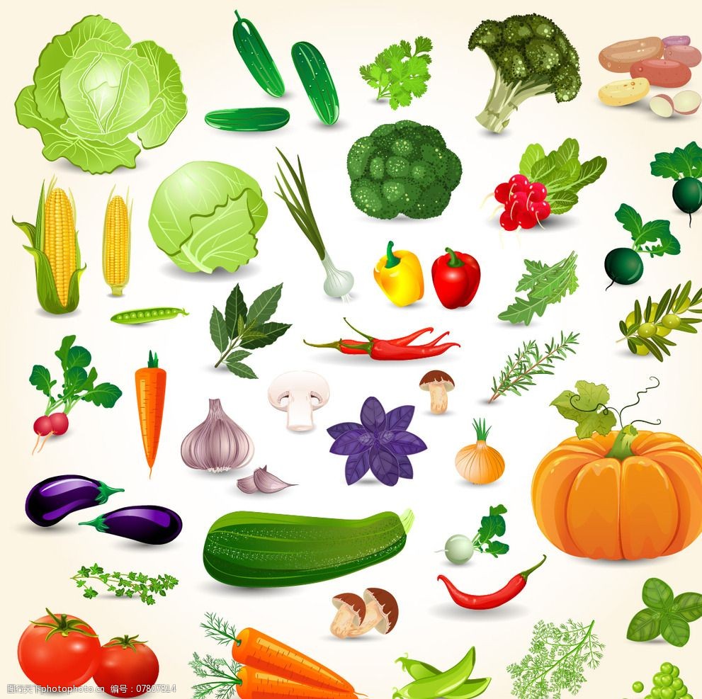 蔬果奇遇记 当卡通画笔遇见田园菜篮