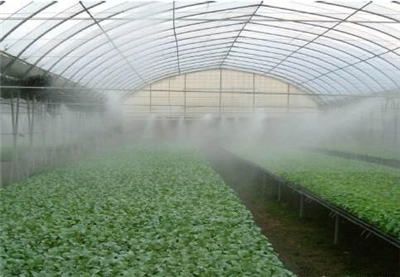 金诚JC-F60Z喷雾器 大棚种植增产增收的得力助手