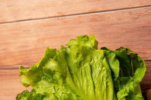 蔬果之诗 从日常到艺术的摄影摆拍美学