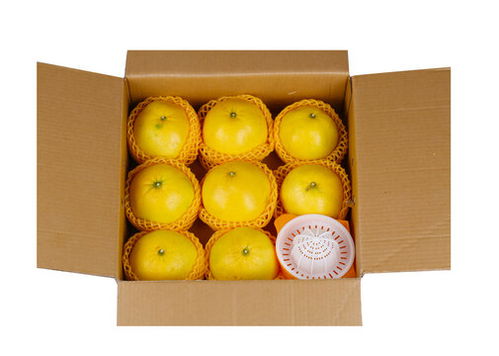 芋艿 从田间到餐桌的饮食美学与素材应用